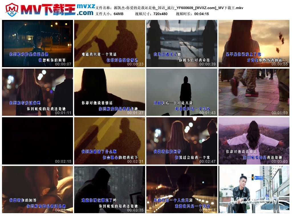 源凯杰-你爱的是我还是他_国语_流行_YF600609